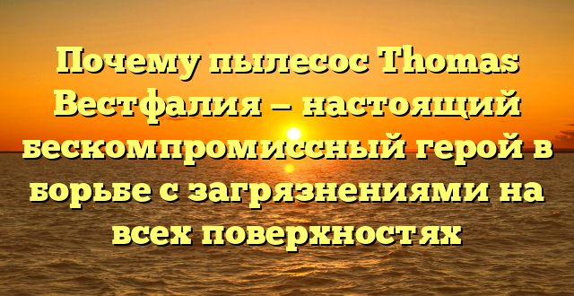 Почему пылесос Thomas Вестфалия — настоящий бескомпромиссный герой в борьбе с загрязнениями на всех поверхностях